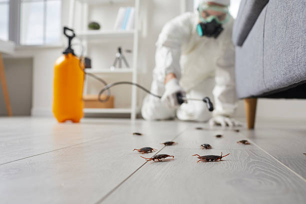 Commercial Kitchen Cockroach Control in Wheeler